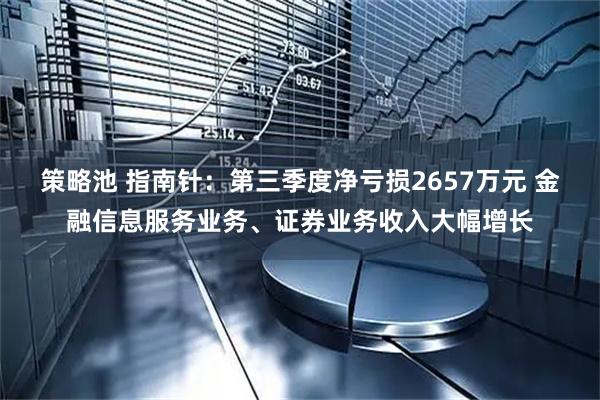 策略池 指南针：第三季度净亏损2657万元 金融信息服务业务、证券业务收入大幅增长